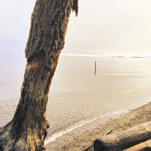 Beach hazy picture during the sunset