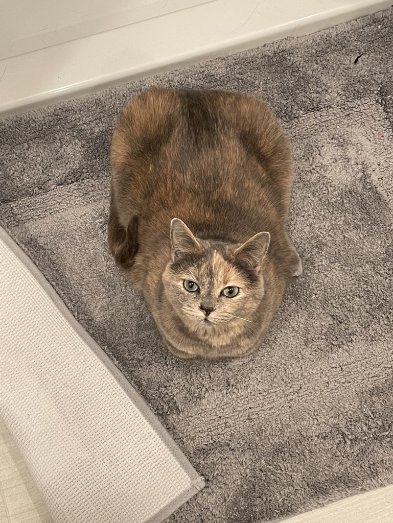 Lily on mat