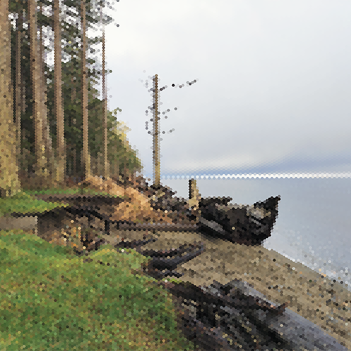 Seabank with green seagrass boardering the beach.