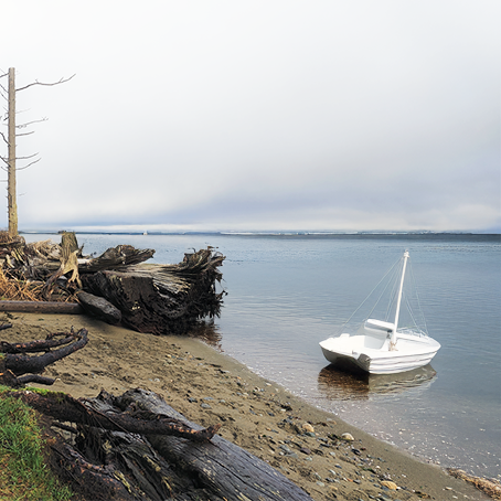 A sunny pavfic beach with a sailboat off the shore