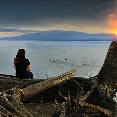 Woman sitting on a log at the beach, admiring the sunset while birds swim.