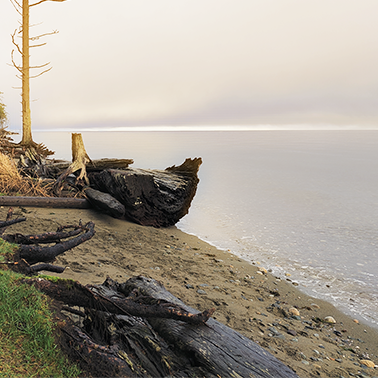 Golden Hour on the Beach