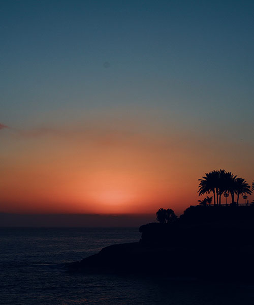 Orange sunset with trees outlined in the corner