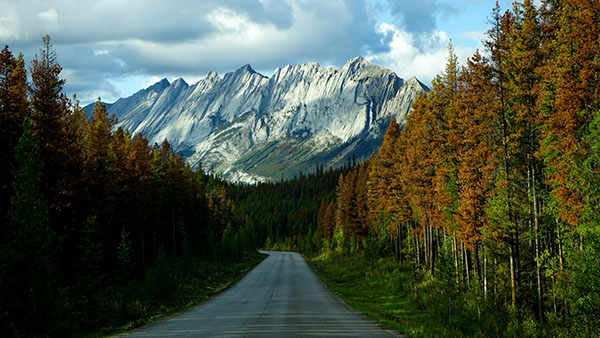 Some nice mountains and a calm road in British Comlumbia