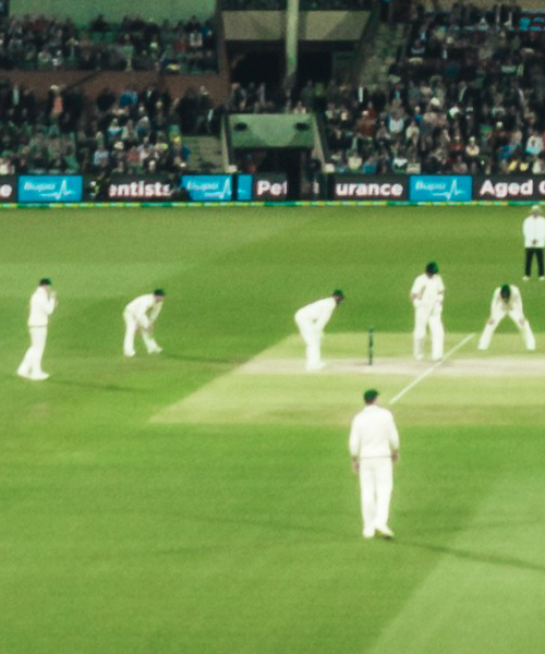 cricket players in a match