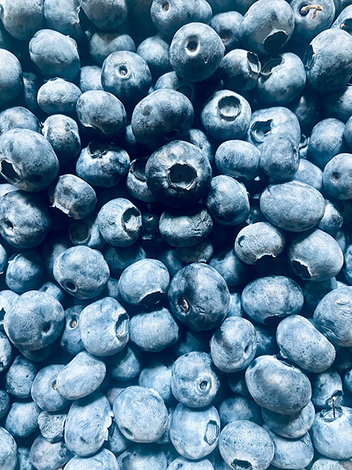 Ripe blueberries