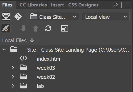 Rick-click on the blank area in the Files panel, above where files are shown and select modified